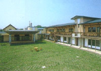 ���[�g�����h�P�_�@����